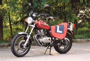 Suzuki 250